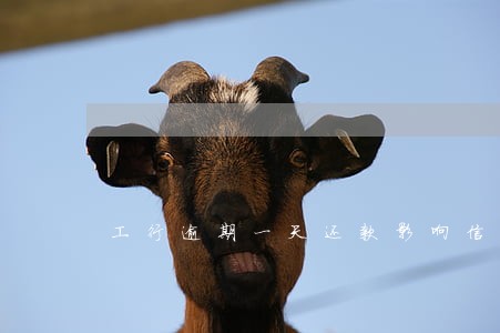 工行逾期一天还款影响信用记录吗 工行逾期一天还款影响信用记录吗