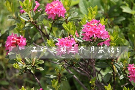 工行逾期三个月冻结6 工行逾期三个月冻结6