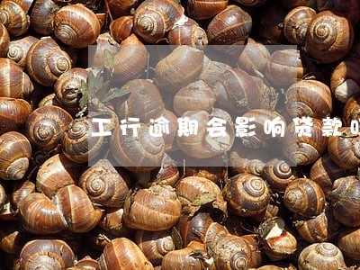 工行逾期会影响贷款吗 工行逾期会影响贷款吗