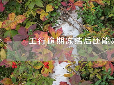 工行逾期冻结后还能办信用卡吗
