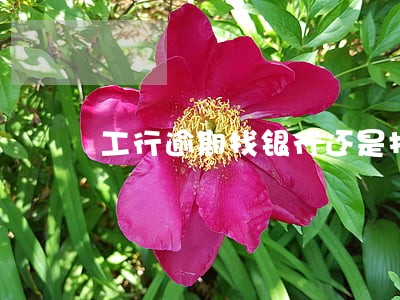 工行逾期找银行还是找客服 工行逾期找银行还是找客服