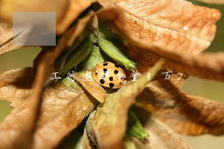 工行逾期本金3万7 工行逾期本金3万7
