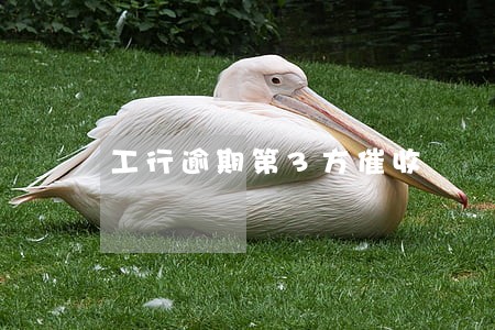 工行逾期第3方催收