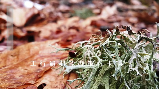工行逾期能办银行卡吗 工行逾期能办银行卡吗