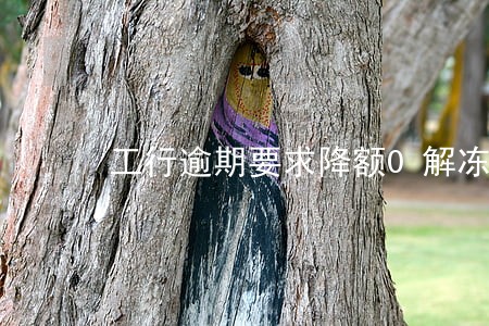工行逾期要求降额0解冻