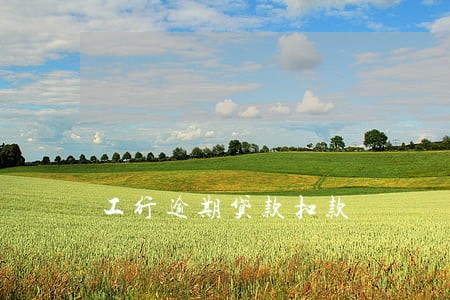 工行逾期贷款扣款 工行逾期贷款扣款