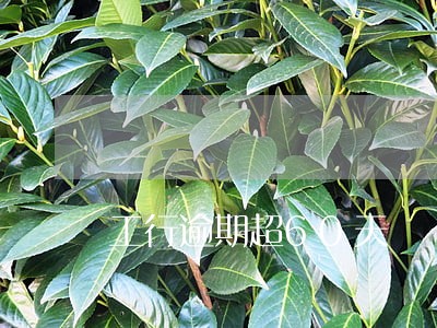工行逾期超60天 工行逾期超60天