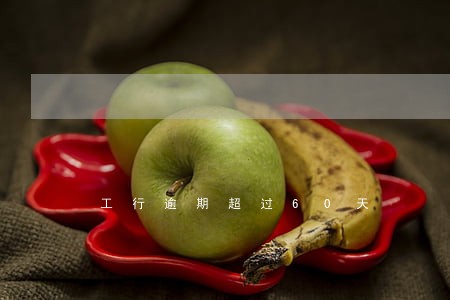 工行逾期超过60天 工行逾期超过60天