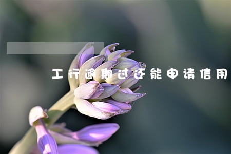 工行逾期过还能申请信用卡吗 工行逾期过还能申请信用卡吗