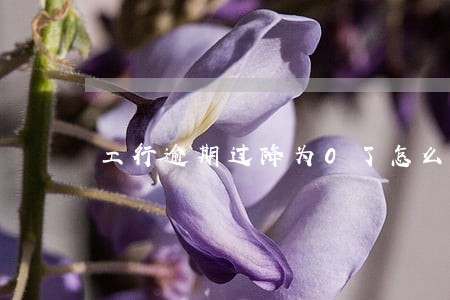 工行逾期过降为0了怎么办 工行逾期过降为0了怎么办