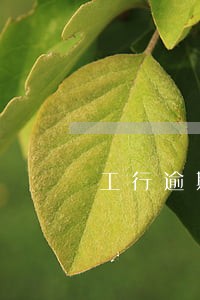 工行逾期还款2小时 工行逾期还款2小时