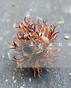 工行逾期降到0还是6星级 工行逾期降到0还是6星级