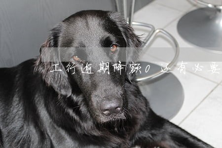 工行逾期降额0还有必要用吗 工行逾期降额0还有必要用吗