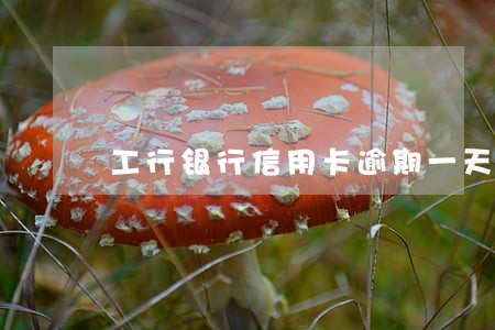 工行银行信用卡逾期一天会怎样