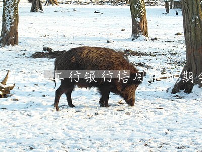 工行银行信用卡逾期会上门吗 工行银行信用卡逾期会上门吗