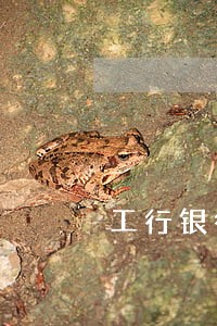 工行银行信用卡逾期处理条例 工行银行信用卡逾期处理条例