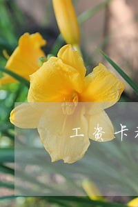 工资卡被法院冻结了怎么处理 工资卡被法院冻结了怎么处理