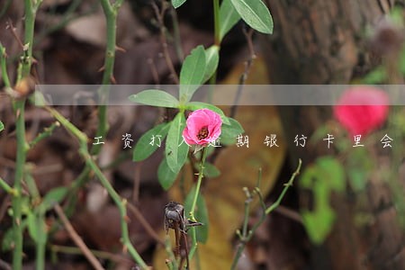工资打入逾期银行卡里会被划扣 工资打入逾期银行卡里会被划扣