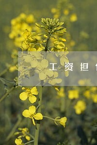 工资担保贷款逾期银行怎么办 工资担保贷款逾期银行怎么办