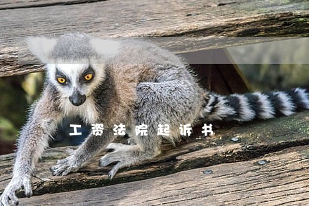 工资法院起诉书