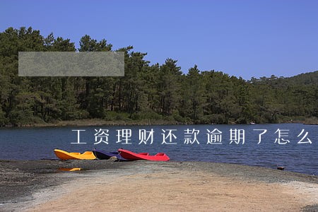 工资理财还款逾期了怎么办 工资理财还款逾期了怎么办