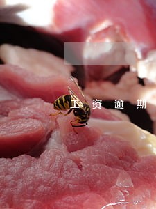 工资逾期15天有赔偿吗 工资逾期15天有赔偿吗