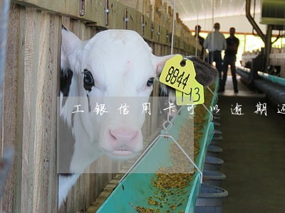 工银信用卡可以逾期还款吗 工银信用卡可以逾期还款吗