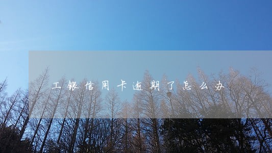 工银信用卡逾期了怎么办 工银信用卡逾期了怎么办