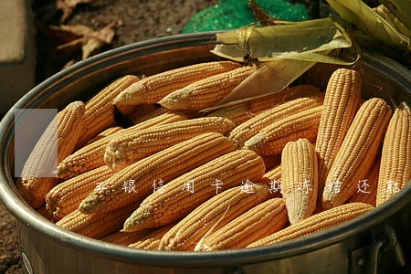 工银信用卡逾期冻结还能解冻吗 工银信用卡逾期冻结还能解冻吗