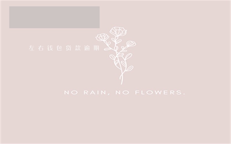 左右钱包贷款逾期 左右钱包贷款逾期
