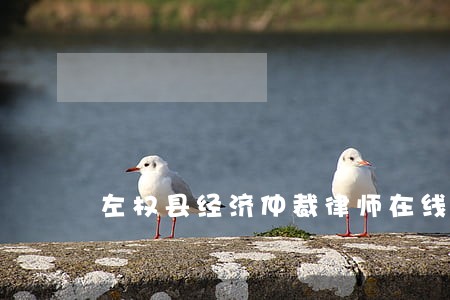 左权县经济仲裁律师在线免费咨询 左权县经济仲裁律师在线免费咨询