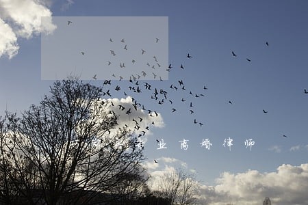 巧家县专业离婚律师 巧家县专业离婚律师