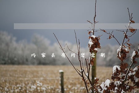 巧家县有网贷逾期 巧家县有网贷逾期