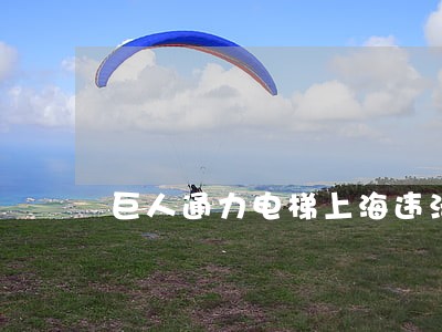 巨人通力电梯上海违法遭罚 巨人通力电梯上海违法遭罚