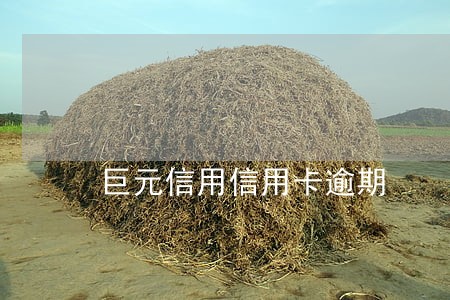 巨元信用信用卡逾期 巨元信用信用卡逾期