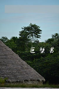 巨蟹男离婚后能复合吗 巨蟹男离婚后能复合吗