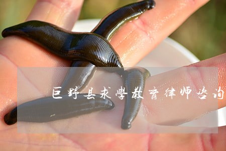 巨野县求学教育律师咨询电话
