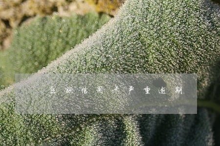 巨额信用卡严重逾期 巨额信用卡严重逾期
