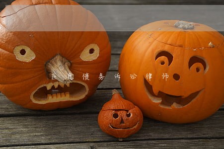 巨鹿债务诉讼律师 巨鹿债务诉讼律师