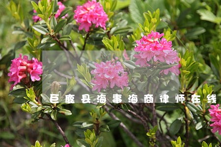 巨鹿县海事海商律师在线免费咨询 巨鹿县海事海商律师在线免费咨询