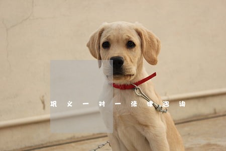 巩义一对一法律咨询 巩义一对一法律咨询