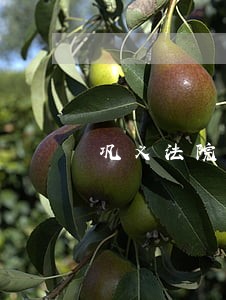 巩义法院信息工作调研报告 巩义法院信息工作调研报告