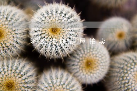 巩义法院房屋拍卖 巩义法院房屋拍卖