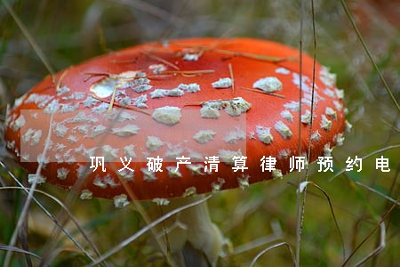 巩义破产清算律师预约电话