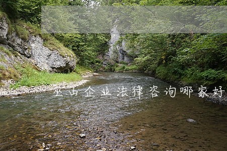 巫山企业法律咨询哪家好 巫山企业法律咨询哪家好