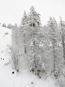 巫山法院许世雄通讯员 巫山法院许世雄通讯员