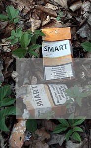 巫师3银剑槽不显示逾期 巫师3银剑槽不显示逾期