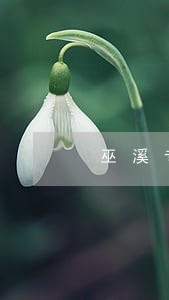 巫溪专业法律咨询哪家好 巫溪专业法律咨询哪家好