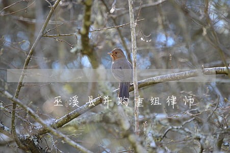 巫溪县并购重组律师 巫溪县并购重组律师