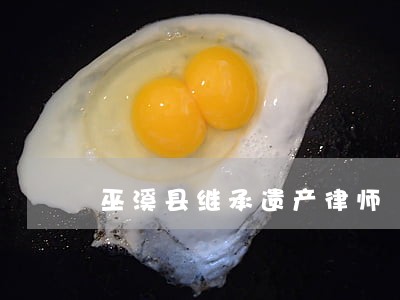 巫溪县继承遗产律师 巫溪县继承遗产律师